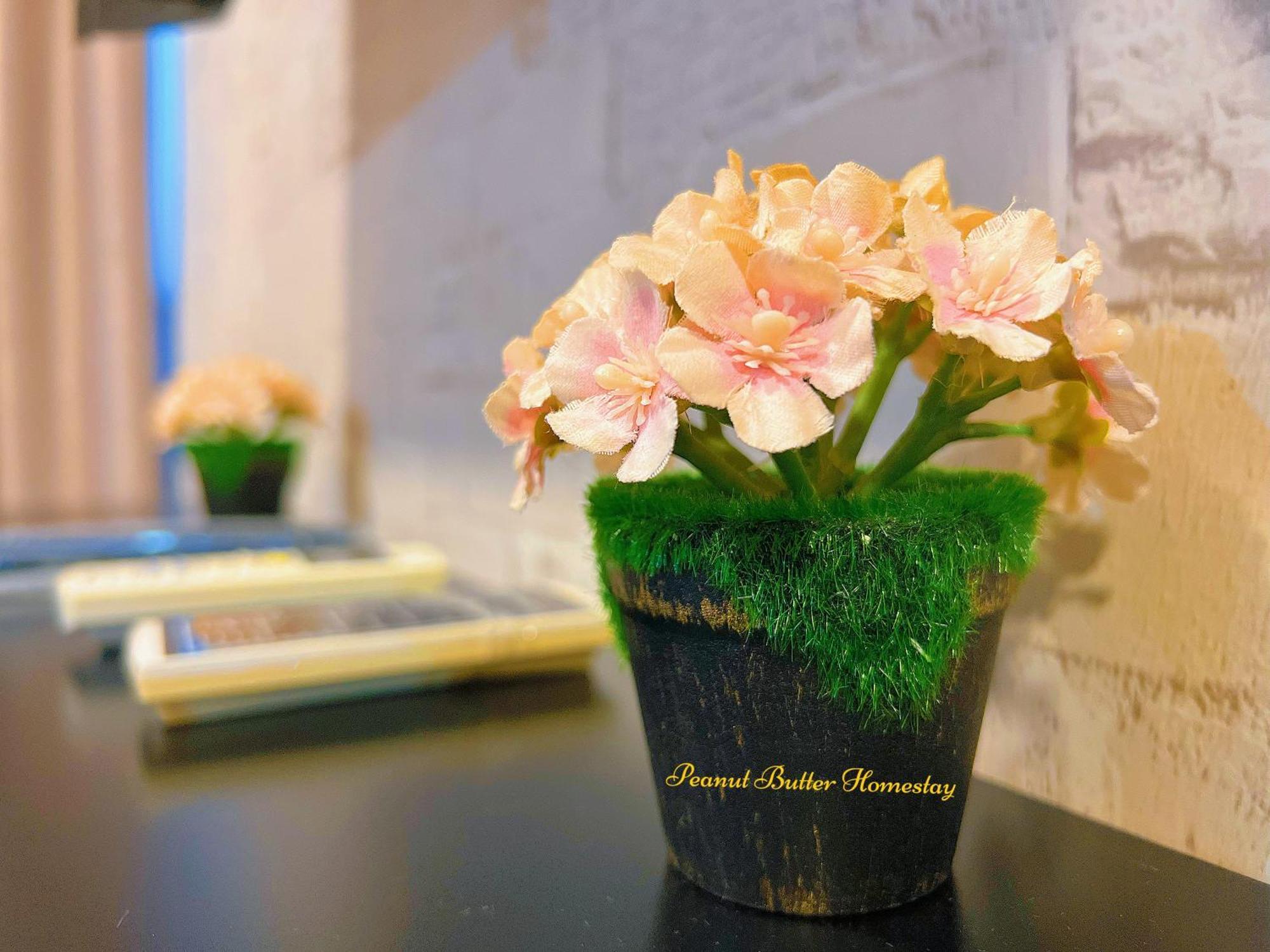 סטיה אלם Peanut Butter Homestay #Trefoil Setia City מראה חיצוני תמונה